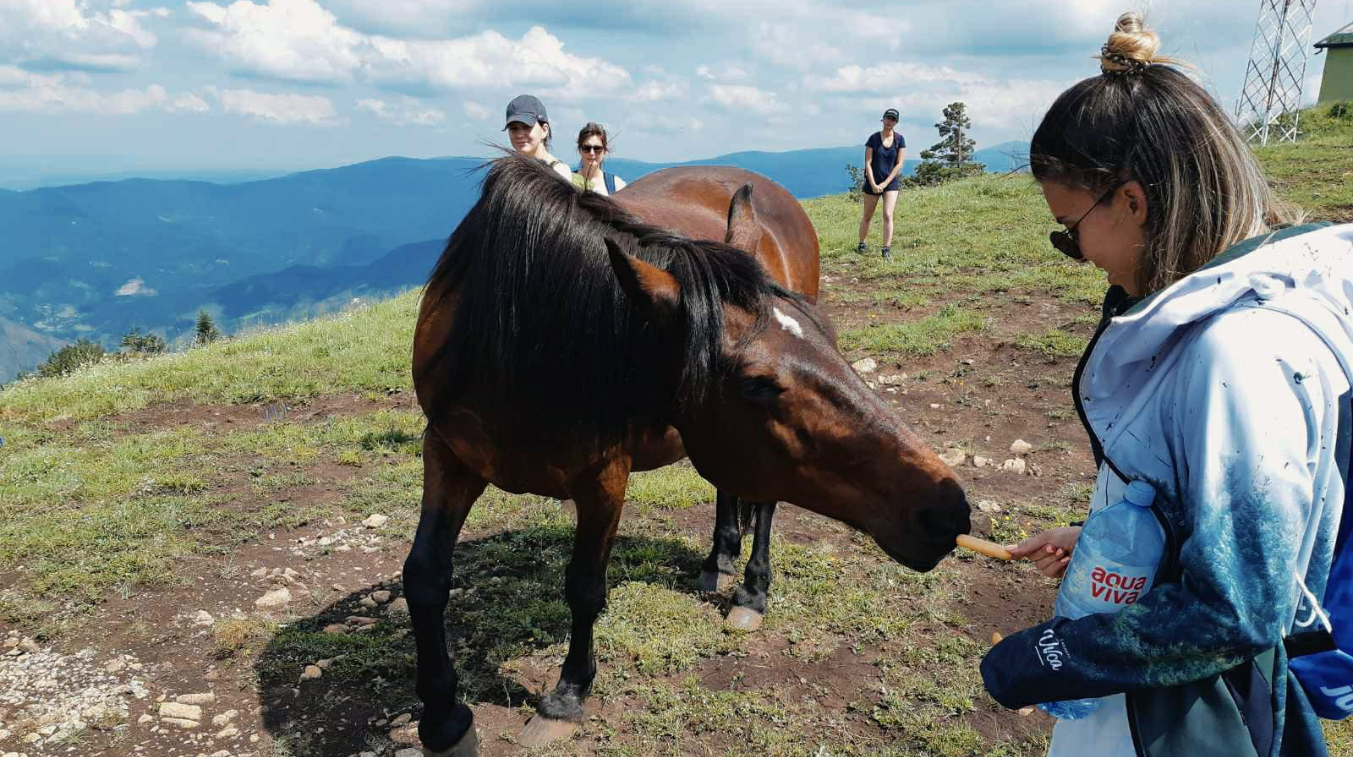 Izleti najpovoljniji aranžmani i cene za 2025/2025 Jungle Tribe